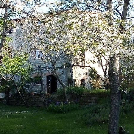 La Fonte B&B Pietralunga  Bagian luar foto