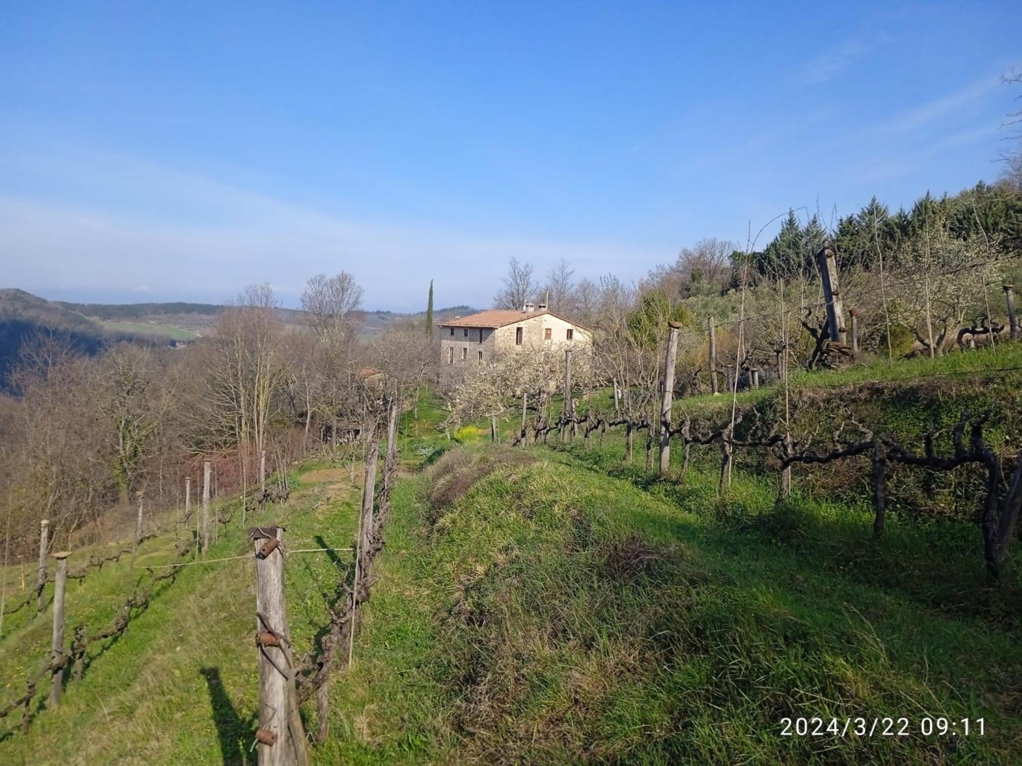 La Fonte B&B Pietralunga  Bagian luar foto