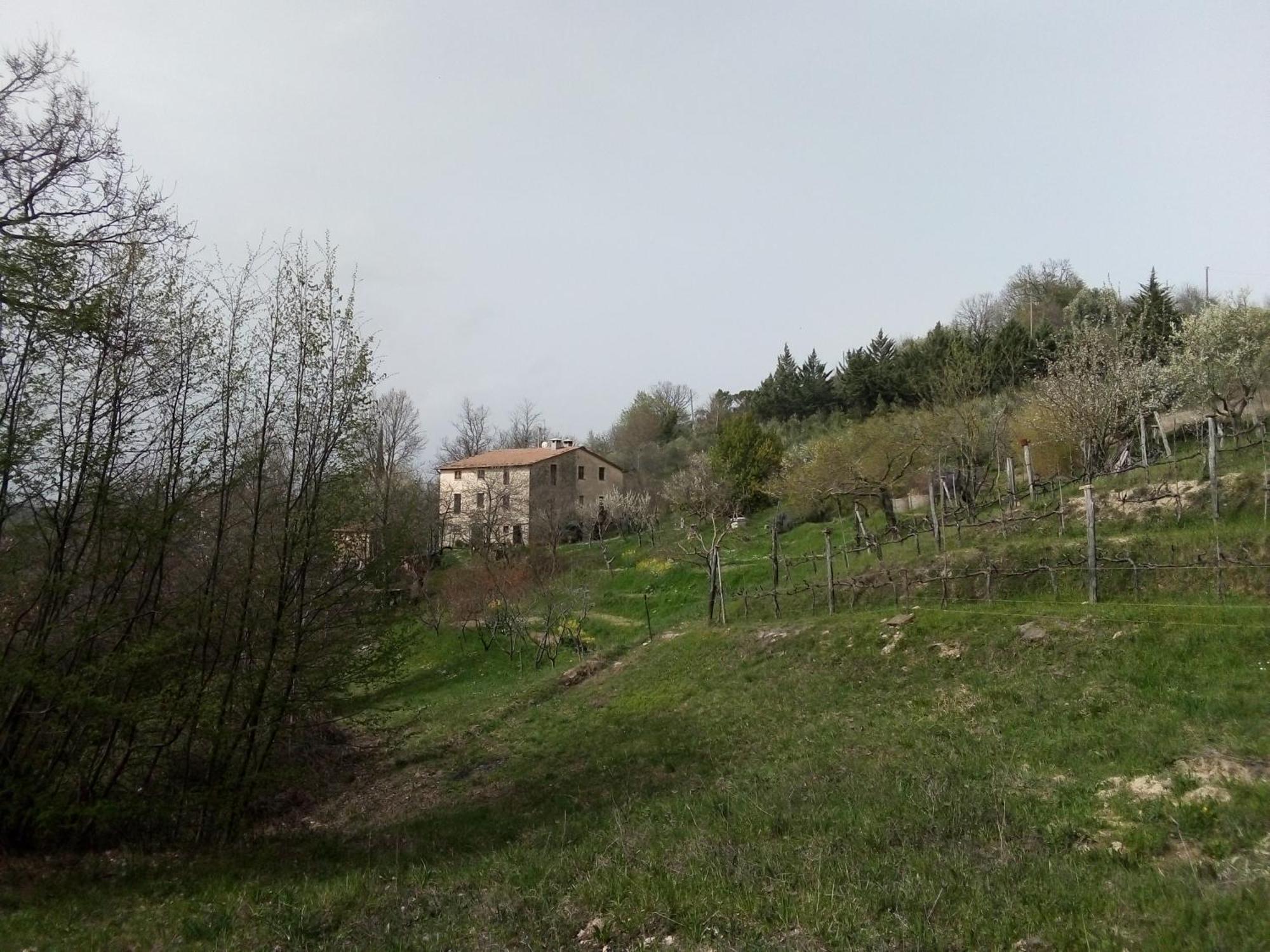 La Fonte B&B Pietralunga  Bagian luar foto