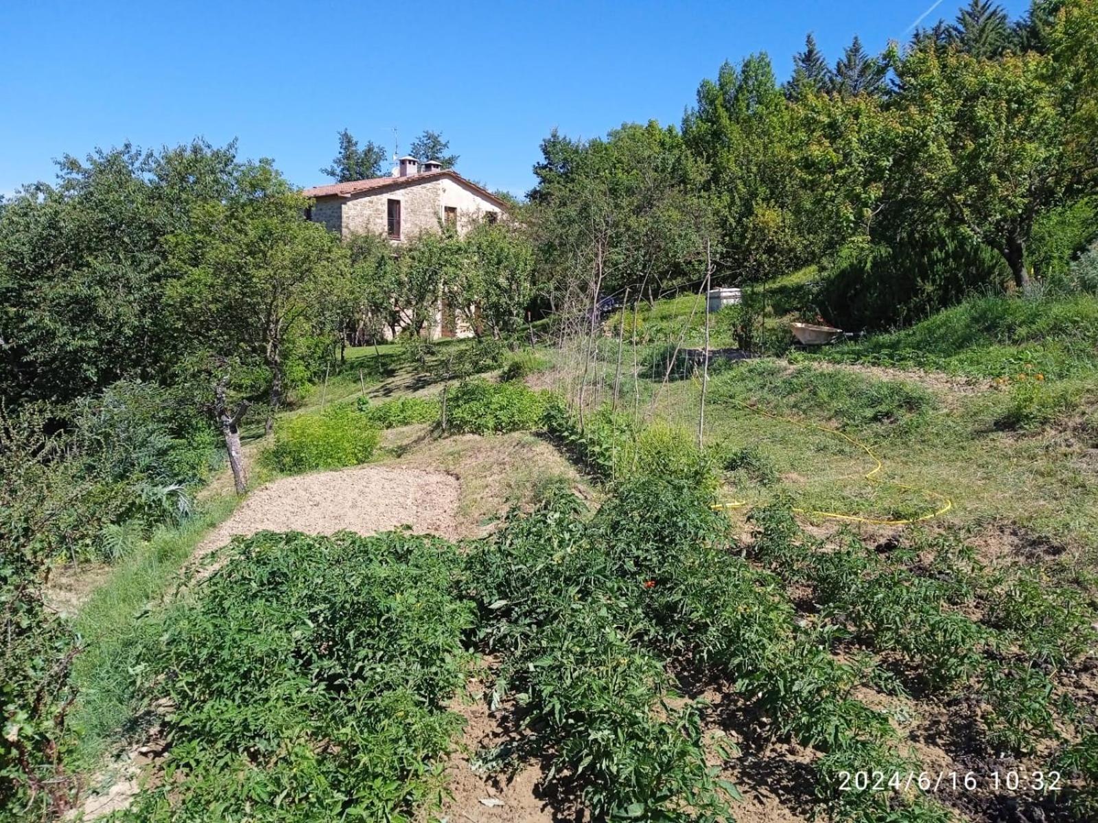 La Fonte B&B Pietralunga  Bagian luar foto