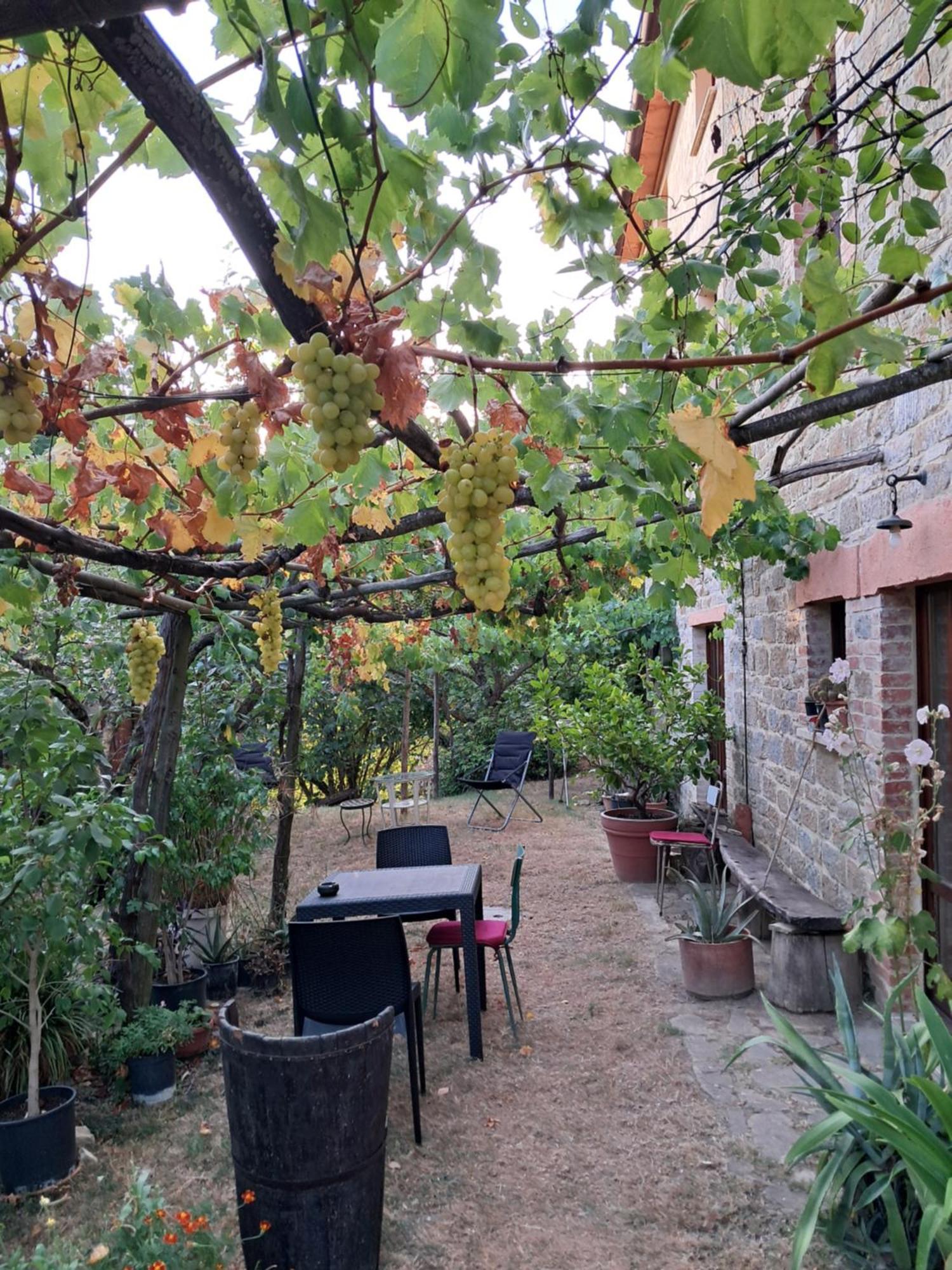 La Fonte B&B Pietralunga  Bagian luar foto