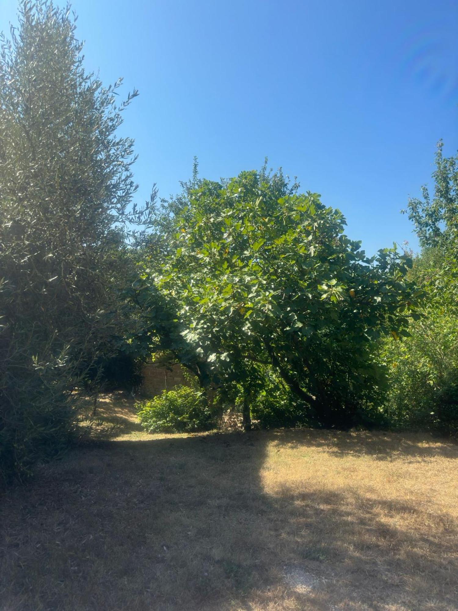 La Fonte B&B Pietralunga  Bagian luar foto