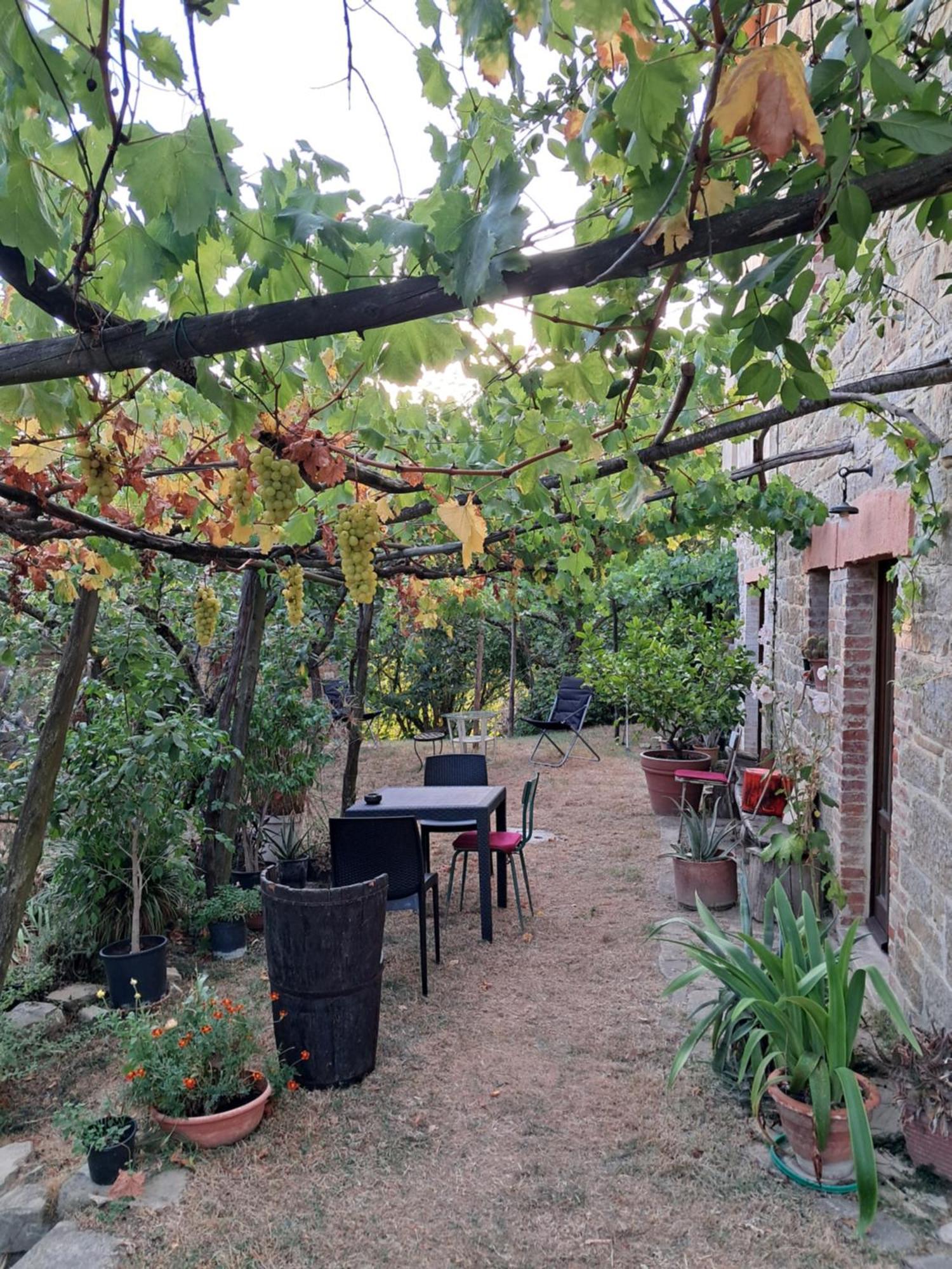 La Fonte B&B Pietralunga  Bagian luar foto