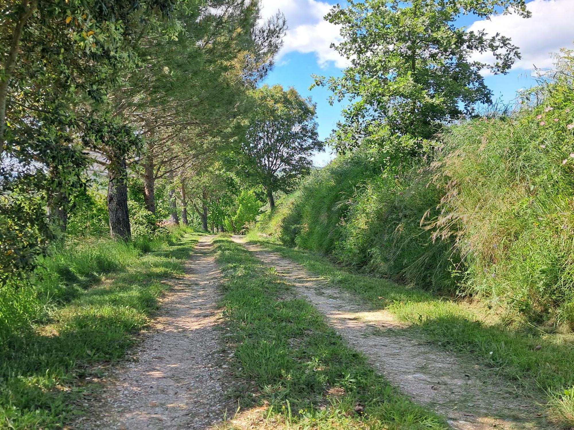 La Fonte B&B Pietralunga  Bagian luar foto
